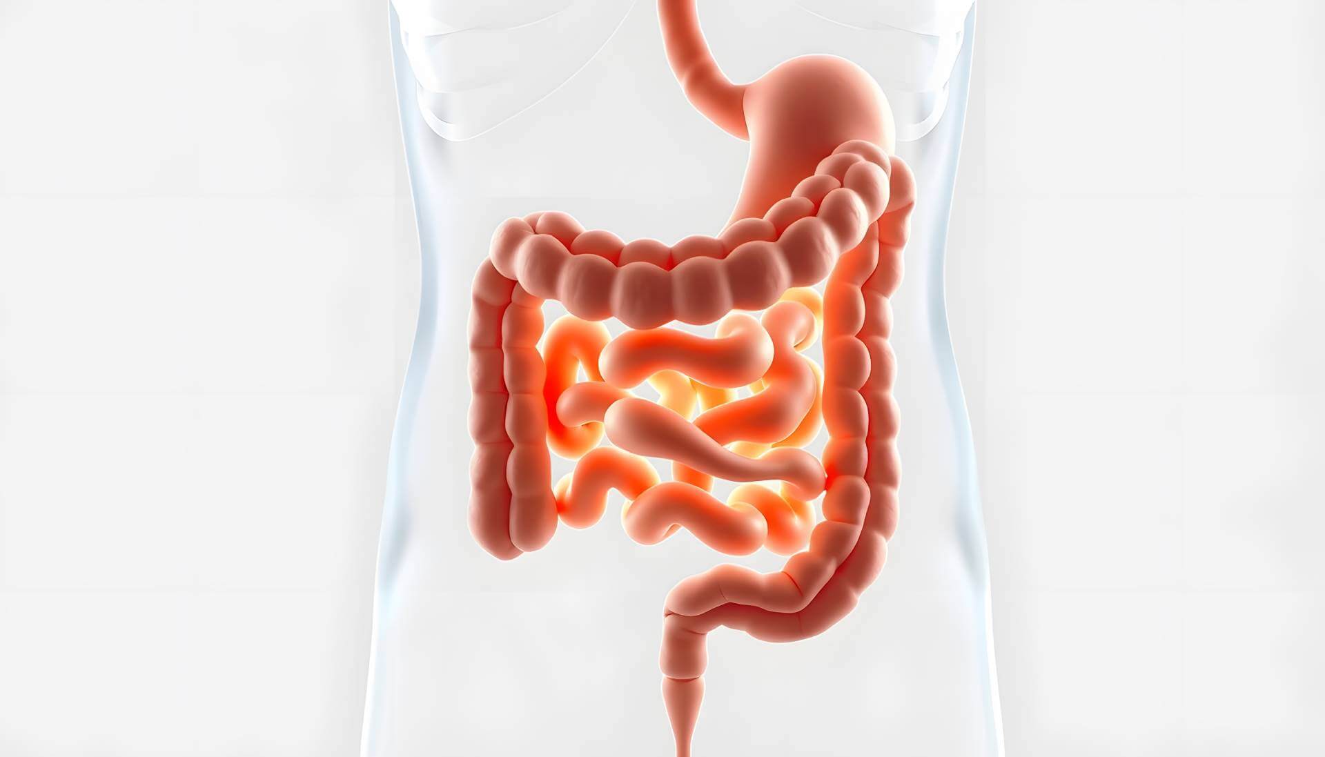 GI-Colonoscopy-FEATURED IMAGE