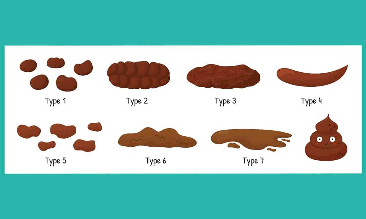 Types of Poop